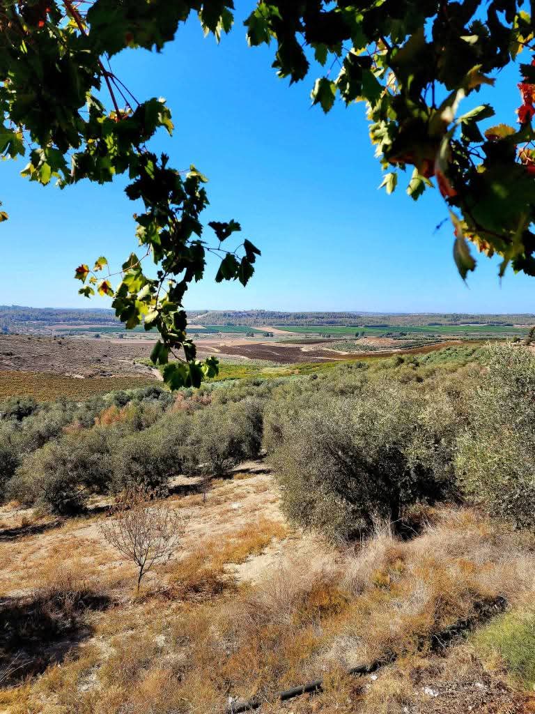 القدس | موسوعة القرى الفلسطينية